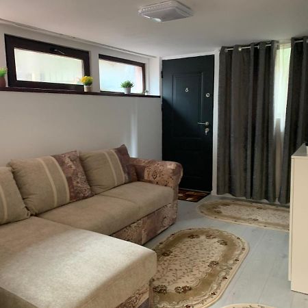 City Center Villa Apartament ブカレスト エクステリア 写真