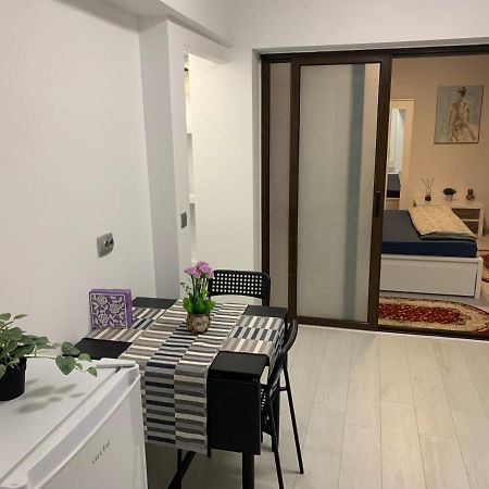 City Center Villa Apartament ブカレスト エクステリア 写真