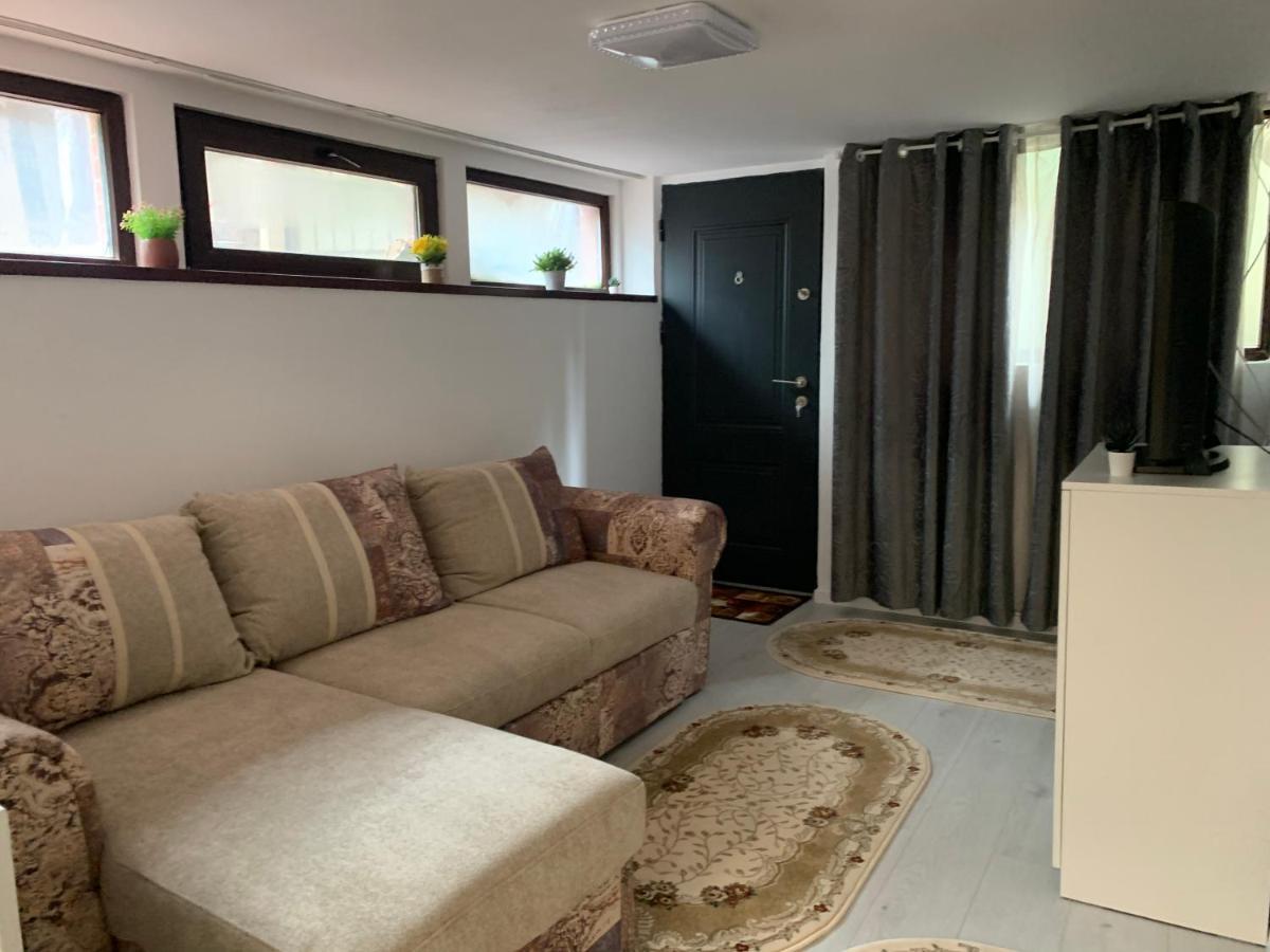 City Center Villa Apartament ブカレスト エクステリア 写真