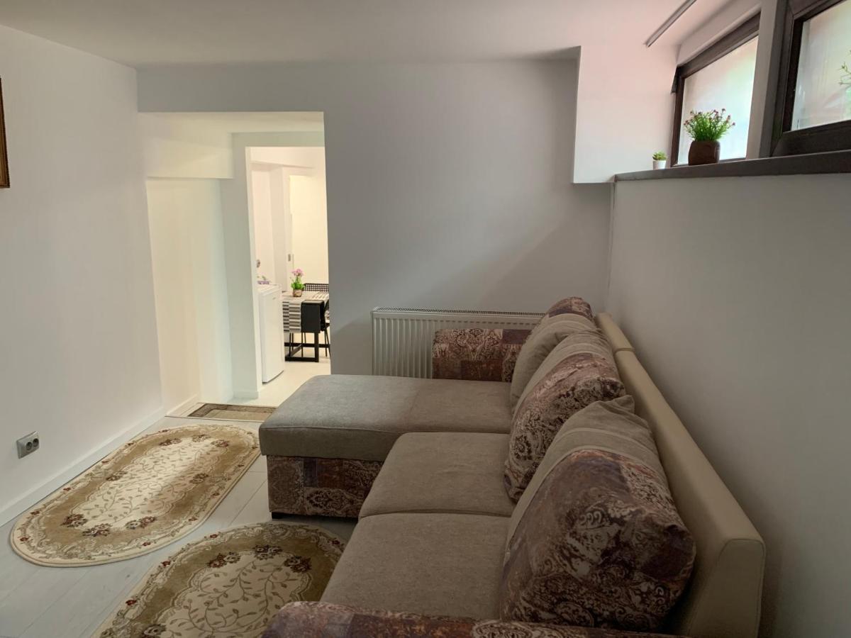 City Center Villa Apartament ブカレスト エクステリア 写真