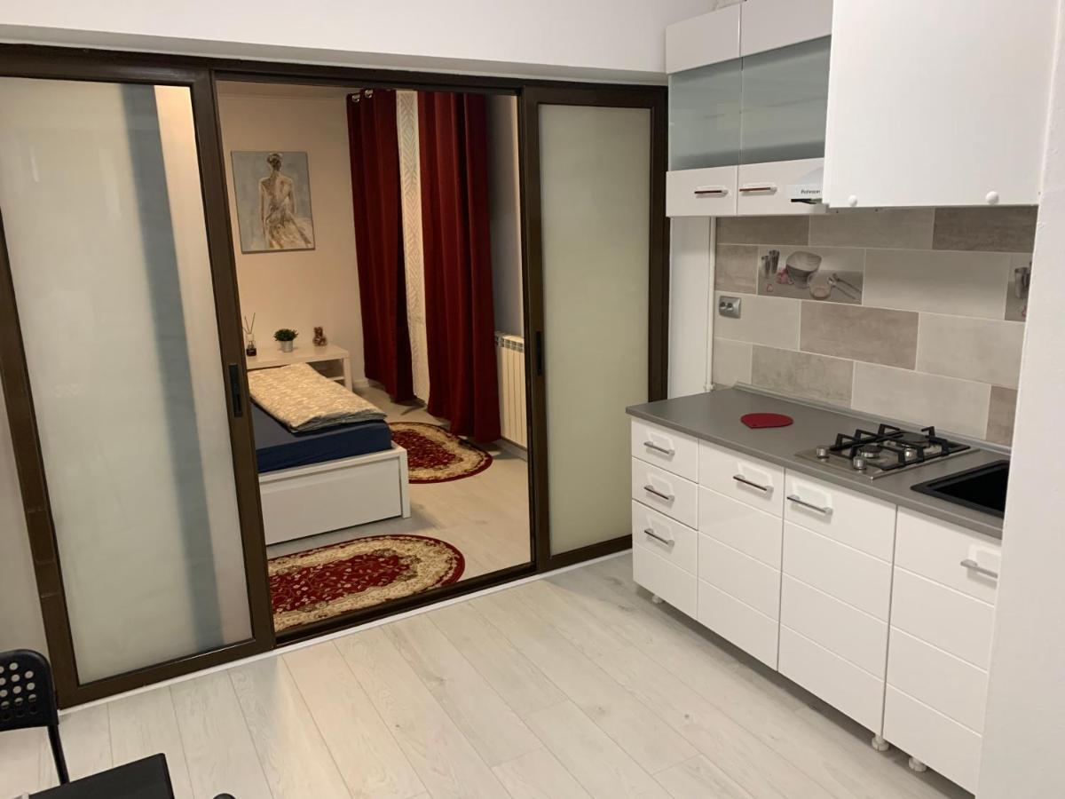 City Center Villa Apartament ブカレスト エクステリア 写真