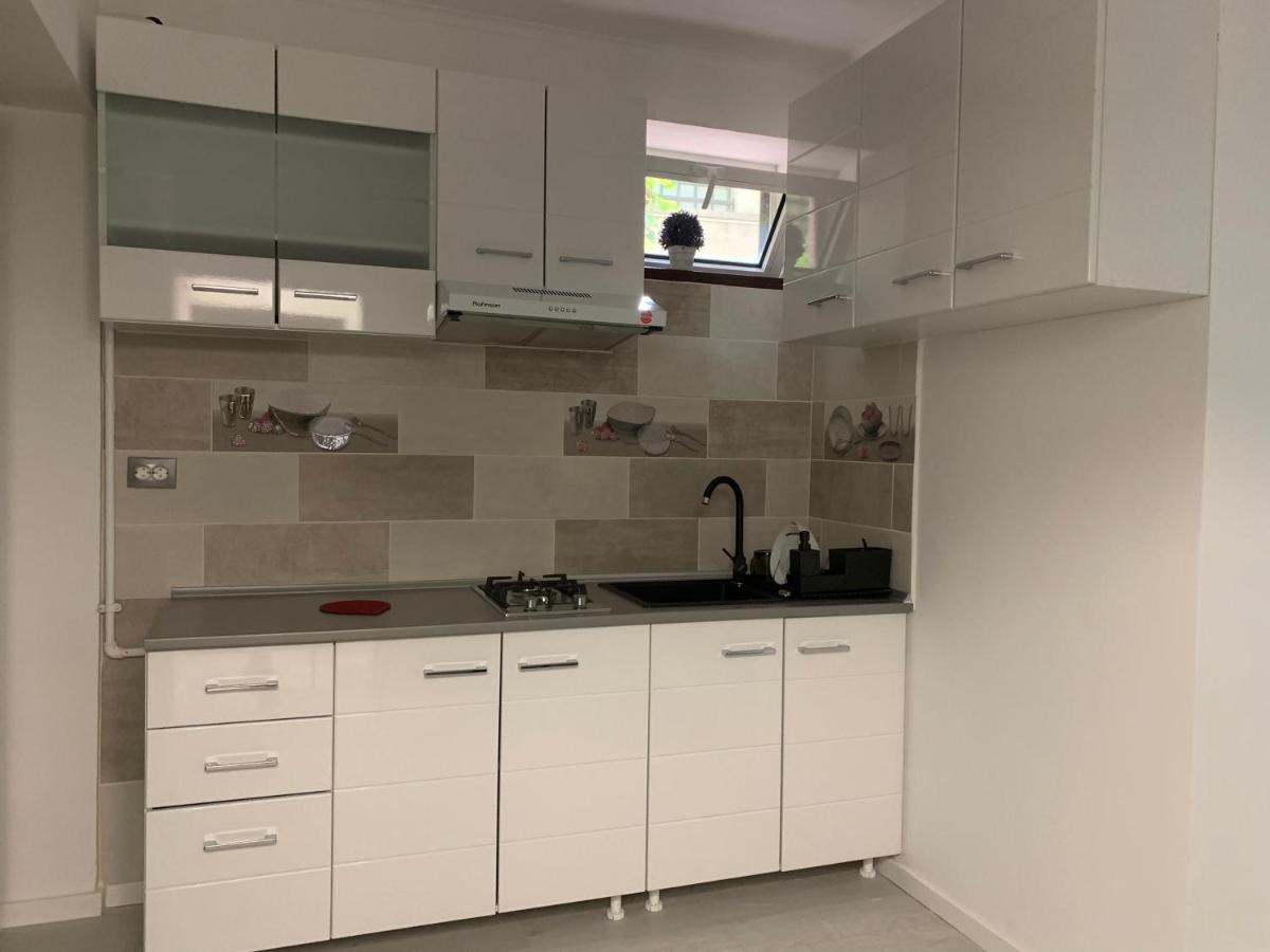 City Center Villa Apartament ブカレスト エクステリア 写真