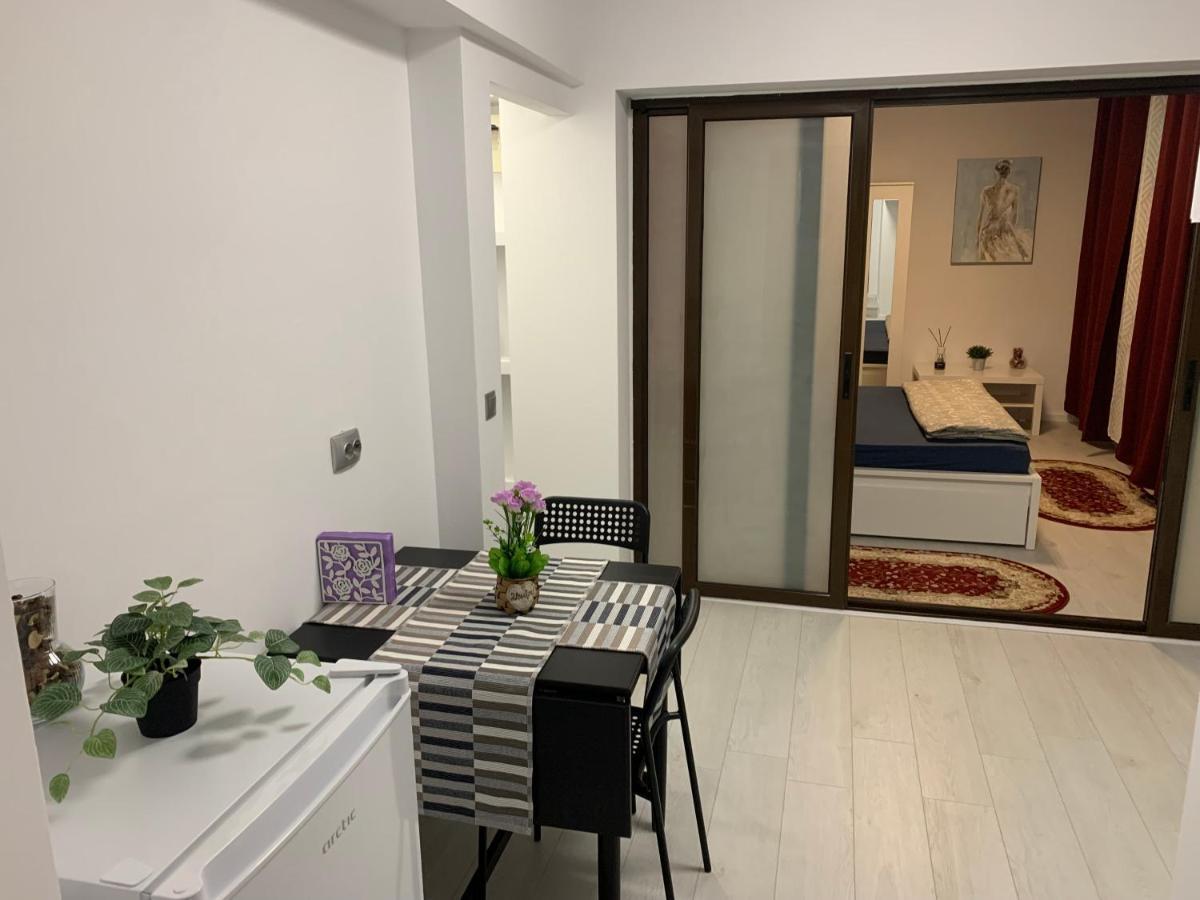 City Center Villa Apartament ブカレスト エクステリア 写真